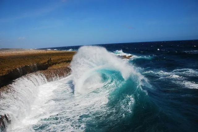 Royal Palm Resort Curacao Geweldig Zeezicht Willemstad
